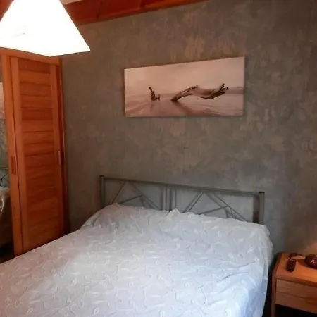 House 15 Rue Des Palombes Messanges (Landes)